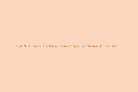 Zwei ZEGG Teams starten erfolgreich beim Bad Belziger Firmenlauf
